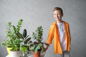 ein süß glücklich Agronom Junge im ein Hemd ist Stehen in der Nähe von ein Tabelle mit Innen- Pflanzen. Blume Pflege foto