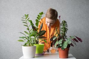 ein süß Junge ist studieren Innen- Grün Pflanzen, Pflege zum Blumen. foto