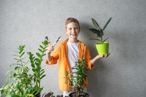 ein süß Agronom Junge steht mit Innen- Pflanzen und ein Boden Pflege Werkzeug foto