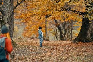 Frau mit ein Rucksack sind Gehen im das Herbst Wald im Natur Landschaft Bäume Passanten Modell- foto