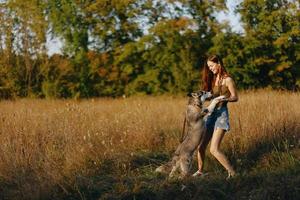 ein Frau Theaterstücke und Tänze mit ein heiser Rasse Hund im Natur im Herbst auf ein Feld von Gras und lächelt beim ein gut Abend im das Rahmen Sonne foto