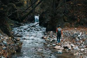 das Reisender besteht in der Nähe von ein Strom zwischen zwei Banken und ein Wald im das Hintergrund foto