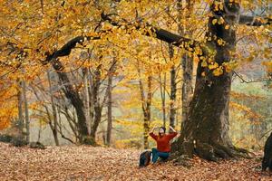 Frau im Herbst Wald Sitzung unter ein Baum mit Gelb Blätter Landschaft Park Modell- foto