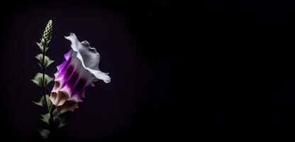 dunkel Fingerhut Blume im schwarz Hintergrund ai generiert foto