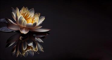 dunkel Weiß Wasser Lilly Blume im schwarz Hintergrund ai generiert foto