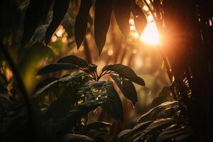 das Morgen Sonne geht kaputt durch das Urwald Blätter Natur Hintergrund Illustration generativ ai foto