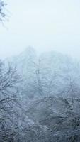 das schön gefroren Berge Aussicht bedeckt durch das Weiß Schnee und Eis im Winter foto