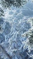 das schön gefroren Berge Aussicht bedeckt durch das Weiß Schnee und Eis im Winter foto