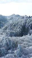 das schön gefroren Berge Aussicht bedeckt durch das Weiß Schnee und Eis im Winter foto