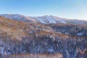 Pulver Schnee Berg im sapporo, Hokkaido Japan foto