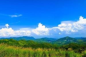 schönes Frühlingsfeld mit grünem Gras und den weißen Wolken des blauen Himmels des Berges foto