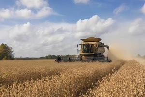 Ernte von Sojabohne Feld mit kombinieren foto