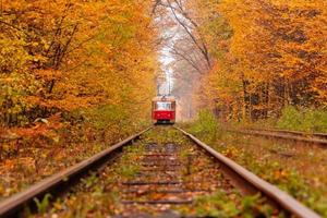 Herbstwald, zwischen dem eine seltsame Straßenbahn fährt foto