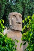 Stein Moai Statue foto
