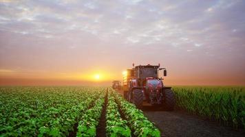 Traktor Arbeiten im landwirtschaftlich Grundstücke beim Sonnenuntergang. 3d machen foto