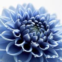 Blau Dahlie Blume auf Weiß Hintergrund, erstellt mit generativ ai foto