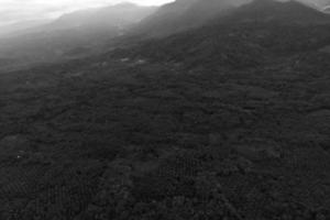 schön Morgen Aussicht Indonesien. Panorama Landschaft Paddy Felder mit Schönheit Farbe und Himmel natürlich Licht foto