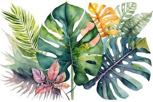 ai generiert Blumen- und Monstera Deliciosa Blätter Aquarell malen. foto