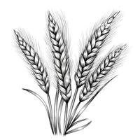 Hand gezeichnet Illustration von Weizen. isoliert auf Weiß Hintergrund. erstellt mit generativ ai. foto