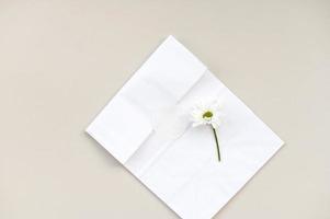runden leer Aufkleber Modell, runden Etikett Modell- auf Kraft Papier Geschenk Tasche, Gänseblümchen Blume foto