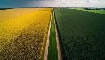 generativ ai, Bauernhof Landschaft, landwirtschaftlich Felder, schön Landschaft, Land Straße. Natur Illustration, fotorealistisch oben Aussicht Drohne, horizontal Banner. foto