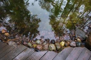 natürlich Natur. Hintergrund Betrachtung von Bäume im ein See. foto