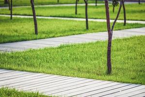 hölzern Gehwege im Sommer- Garten unter Bäume und Grün Gras foto