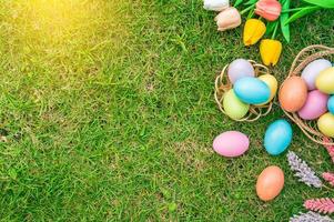 glücklich Ostern Urlaub Gruß Karte Konzept. bunt Ostern Eier und Frühling Blumen auf Grün Gräser Hintergrund. eben legen, oben Sicht, Kopieren Raum. foto