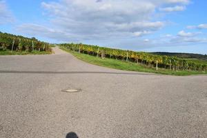 Kreuzung im das Weinberge foto