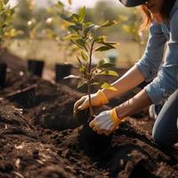 Pflanzen Bäume zum ein nachhaltig Zukunft. Gemeinschaft Garten und Umwelt Erhaltung - - fördern Lebensraum Wiederherstellung und Gemeinschaft Engagement auf Erde Tag foto