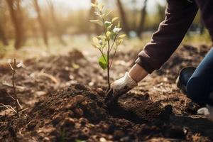 Pflanzen Bäume zum ein nachhaltig Zukunft. Gemeinschaft Garten und Umwelt Erhaltung - - fördern Lebensraum Wiederherstellung und Gemeinschaft Engagement auf Erde Tag foto