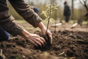 Pflanzen Bäume zum ein nachhaltig Zukunft. Gemeinschaft Garten und Umwelt Erhaltung - - fördern Lebensraum Wiederherstellung und Gemeinschaft Engagement auf Erde Tag foto