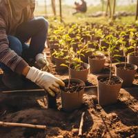 Pflanzen Bäume zum ein nachhaltig Zukunft. Gemeinschaft Garten und Umwelt Erhaltung - - fördern Lebensraum Wiederherstellung und Gemeinschaft Engagement auf Erde Tag foto