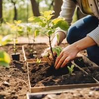 Pflanzen Bäume zum ein nachhaltig Zukunft. Gemeinschaft Garten und Umwelt Erhaltung - - fördern Lebensraum Wiederherstellung und Gemeinschaft Engagement auf Erde Tag foto