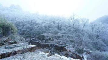 das schön gefroren Berge Aussicht bedeckt durch das Weiß Schnee und Eis im Winter foto