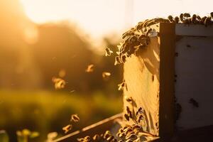 ein Schwarm von Bienen fliegend um das Bienenstock nach ein Tag von Sammeln Nektar von Blumen gegen das Rahmen Sonne, golden Stunde. das Konzept von Bienenzucht und behalten Bienen. ai generiert foto