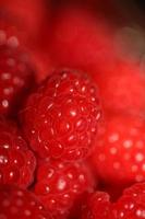 frisch rot kultiviert reif Himbeeren und Johannisbeere Beeren, gesund Essen Textur Hintergrund Winkel Aussicht Makro Rubus phoenicolasius Familie Rosaceae groß Größe hoch Qualität botanisch druckt foto