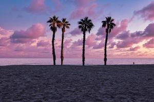 Strand Landschaft Frieden und ruhig Sonnenuntergang und vier Palme Bäume auf das Strand foto