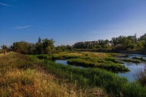 Spanisch Landschaft durch das Gallego Fluss im Aragon auf ein warm Sommer- Sonne Tag mit Grün Bäume und Blau Himmel foto