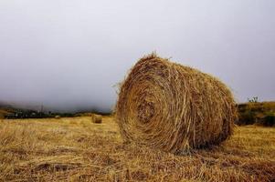 szenisch ländlich Landschaft foto