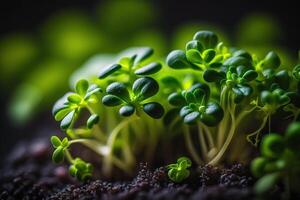 roh gesund Essen sprießen Microgreens generativ ai foto