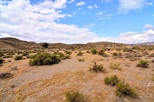 szenisch ländlich Landschaft foto