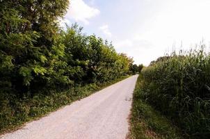 Straße auf dem Land foto