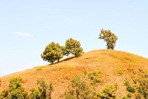 szenisch ländlich Landschaft foto