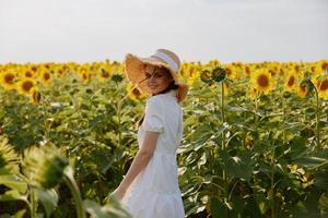 Frau mit zwei Zöpfe im ein Feld mit Blühen Sonnenblumen unverändert foto