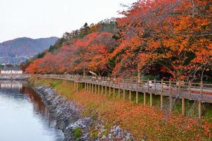 wolyeonggyo Brücke, hölzern Brücke beim andong, Süd Korea. foto