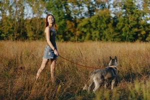 Frau und ihr heiser Hund glücklich Gehen und Laufen im das Gras im das Feld Lächeln mit Zähne Herbst Sonnenuntergang gehen mit ein Haustier, Reisen mit ein Freund Hund Glück foto