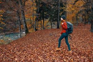 ein in voller Länge Reisender mit ein Rucksack Spaziergänge im das Park mit gefallen Blätter in der Nähe von das Fluss foto