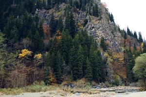 Herbst Wald Berge Bäume Landschaft frisch Luft foto