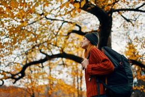 schön Frau im ein rot Sweatshirt mit ein Rucksack auf ihr zurück in der Nähe von ein hoch Baum im Herbst gefallen Blätter foto